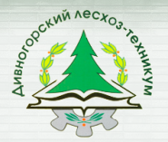 Дивногорский техникум лесных технологий - логотип
