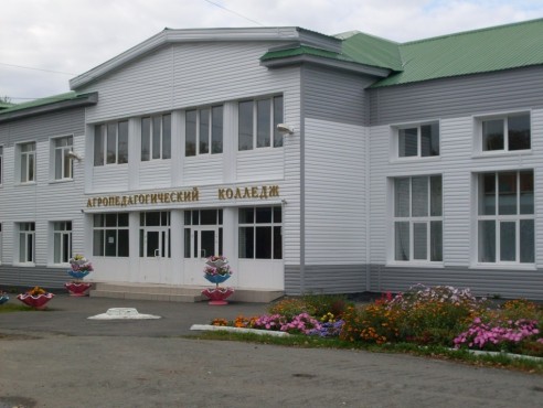 Голышмановский агропедагогический колледж - фото